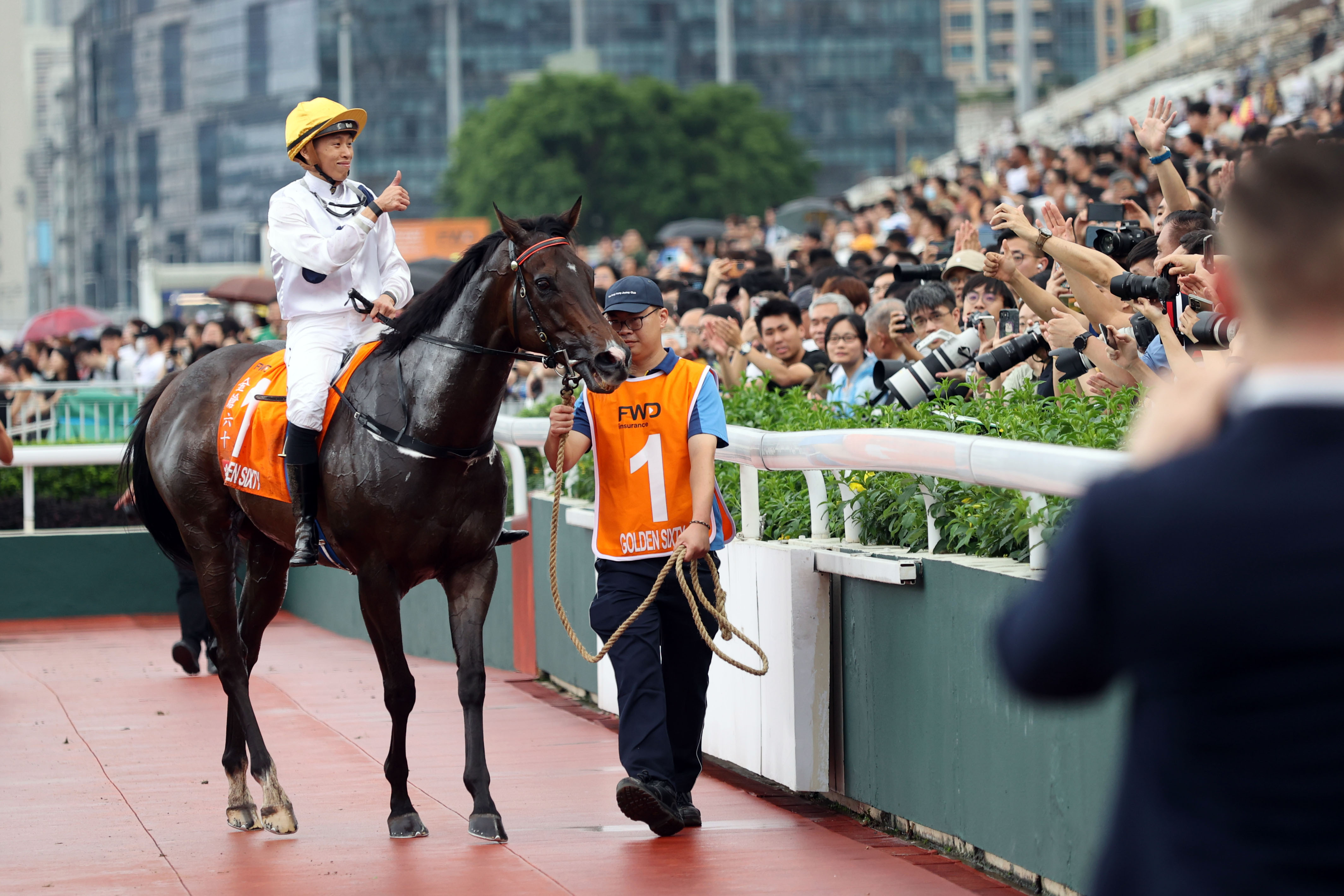 2024香港賽馬全年免費資料,數(shù)據(jù)驅(qū)動實施方案_工具版92.239