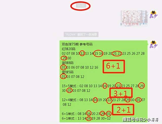 白小姐今晚特馬期期準(zhǔn)六,動態(tài)解析詞匯_7DM80.882