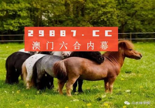 2024買馬資料免費(fèi)網(wǎng)站,深度解答解釋定義_專家版28.421