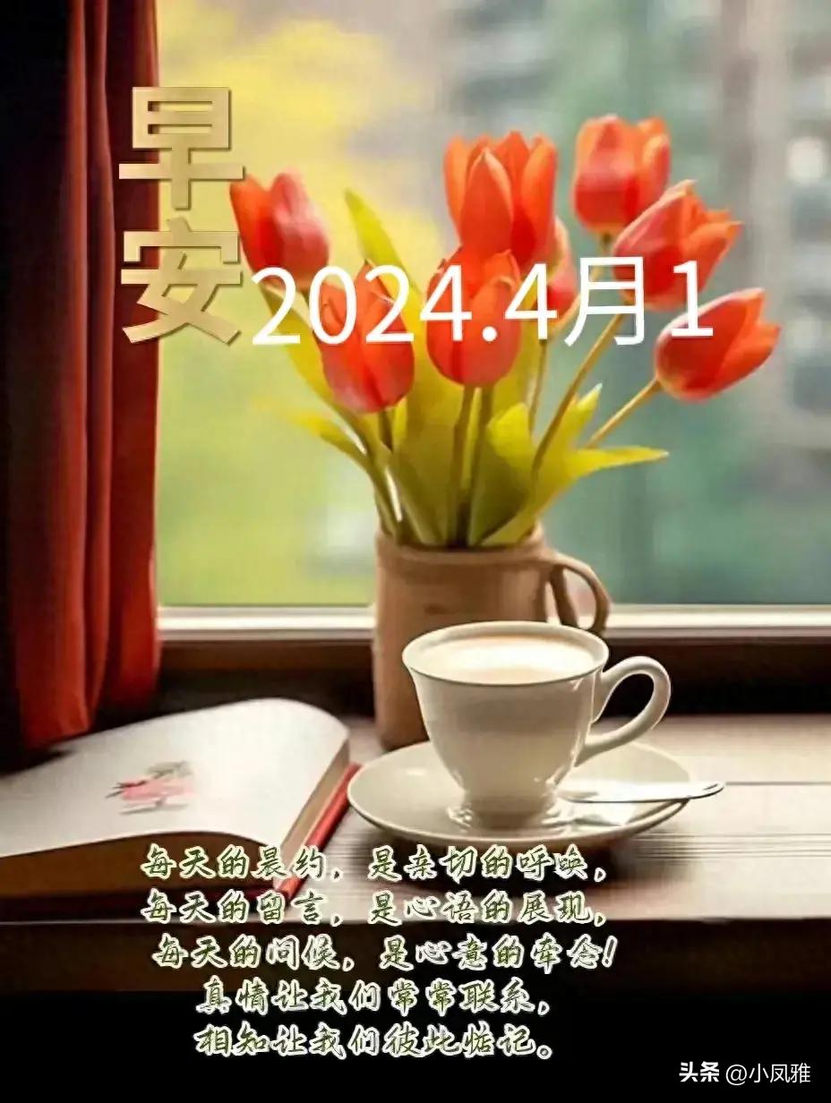 2024天天彩全年免費(fèi)資料,最新核心解答落實(shí)_精裝版56.576