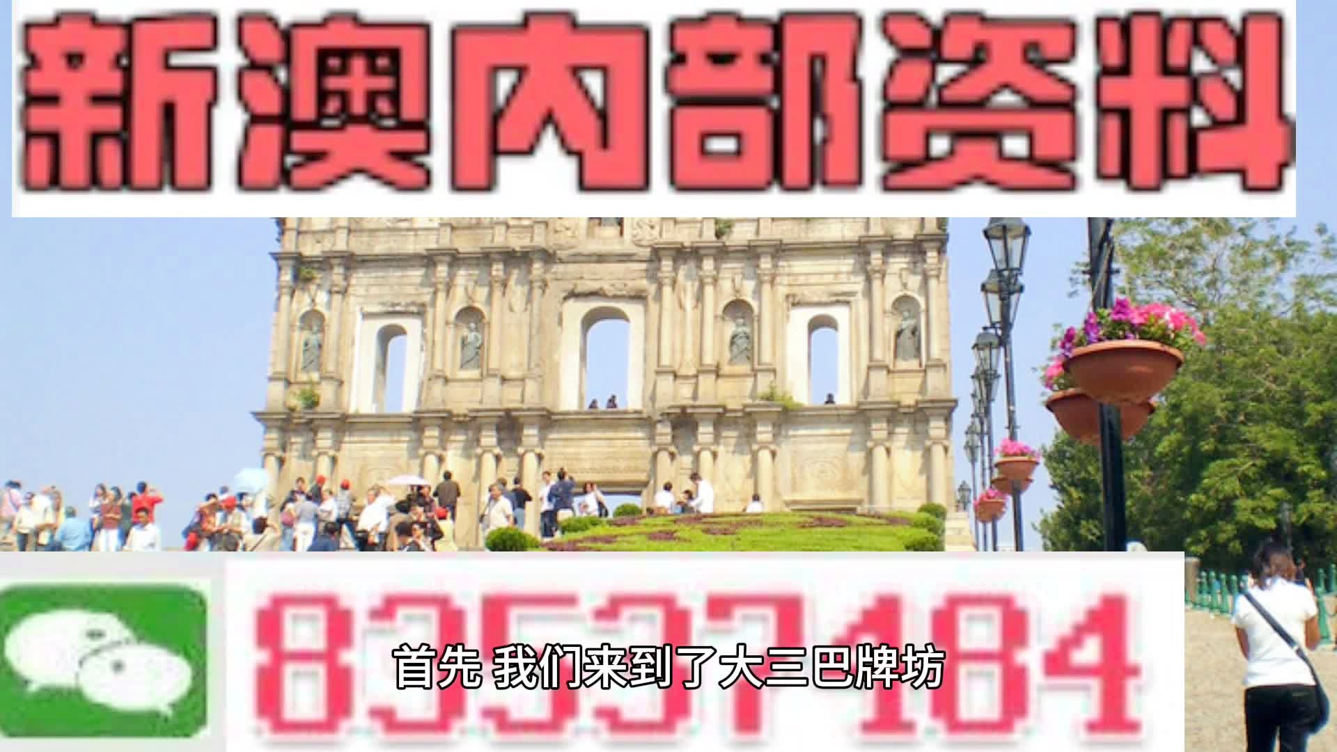 2024年新澳資料免費公開,標準化實施程序解析_高級版24.562