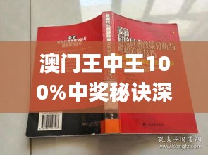 澳門王中王100%期期中一期,定制化執(zhí)行方案分析_1440p28.162