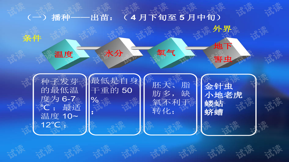 澳門正版精準免費大全,標準化程序評估_專業(yè)版150.205