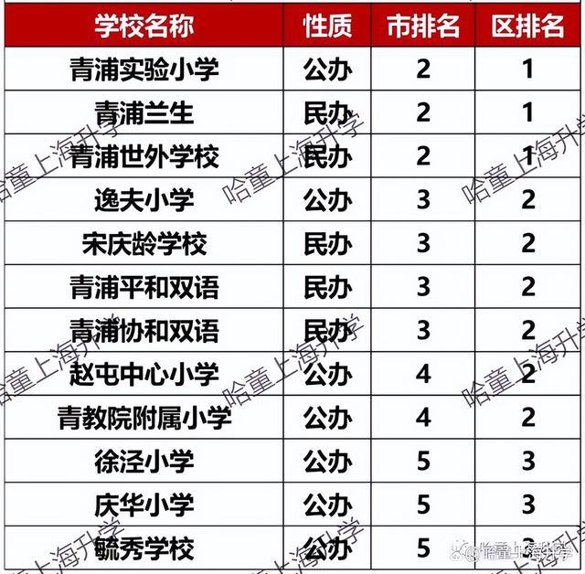 上海最新小學(xué)排名概覽，名校榜單及特色解析