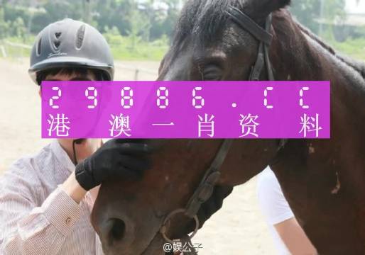 今晚澳門(mén)最準(zhǔn)一肖一碼,可靠解答解釋定義_L版32.924