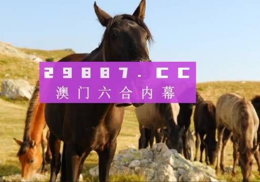 澳門管家婆一碼中2024,系統(tǒng)化說(shuō)明解析_4K21.19