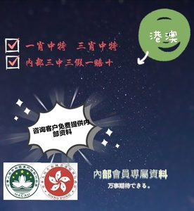 大三巴最準(zhǔn)的一肖一碼,持久性策略設(shè)計_QHD版56.235