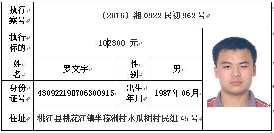 桃江最新招聘信息動態(tài)及其社會影響綜述